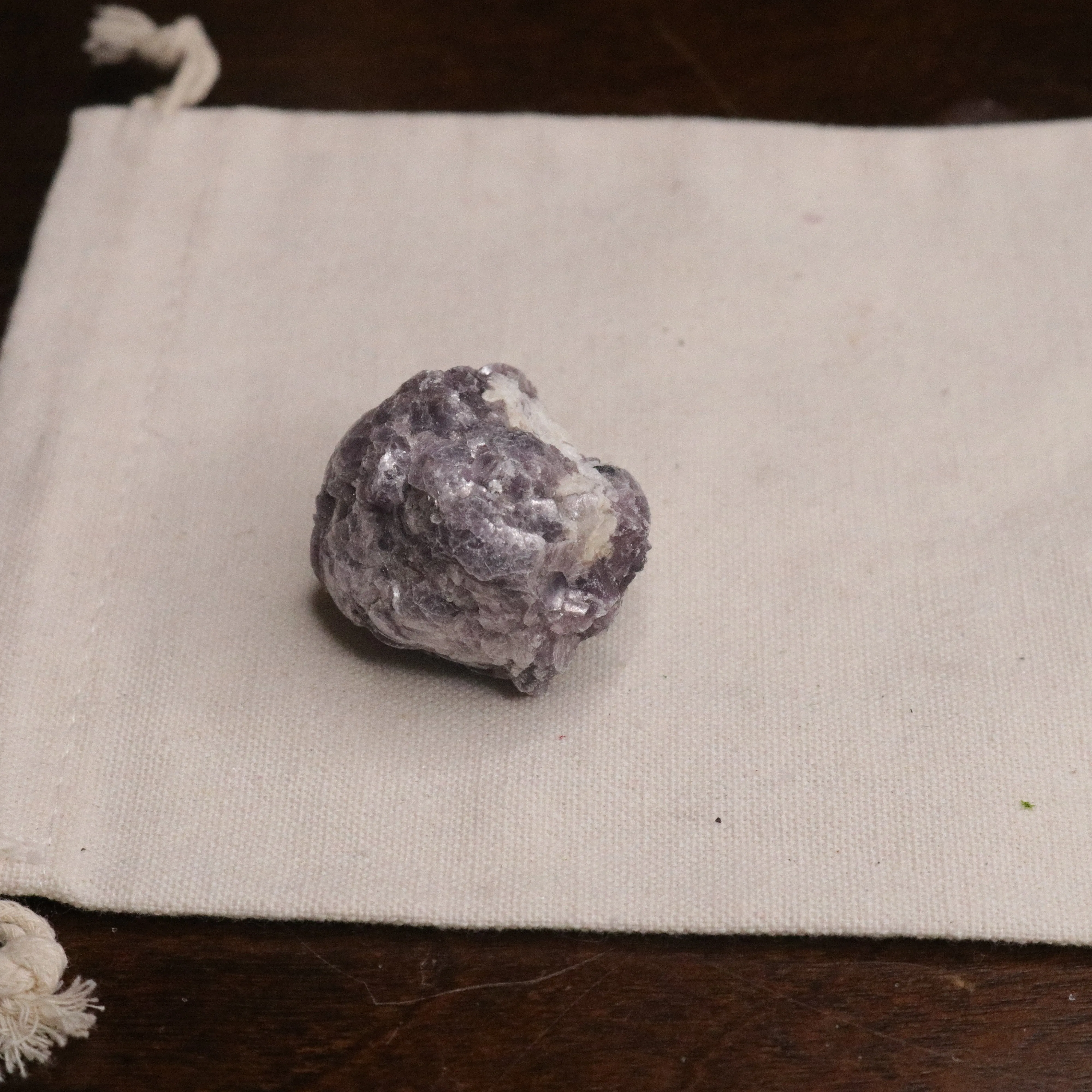 Adorable Coconut Mica Specimen ~ Lepidolite Mica