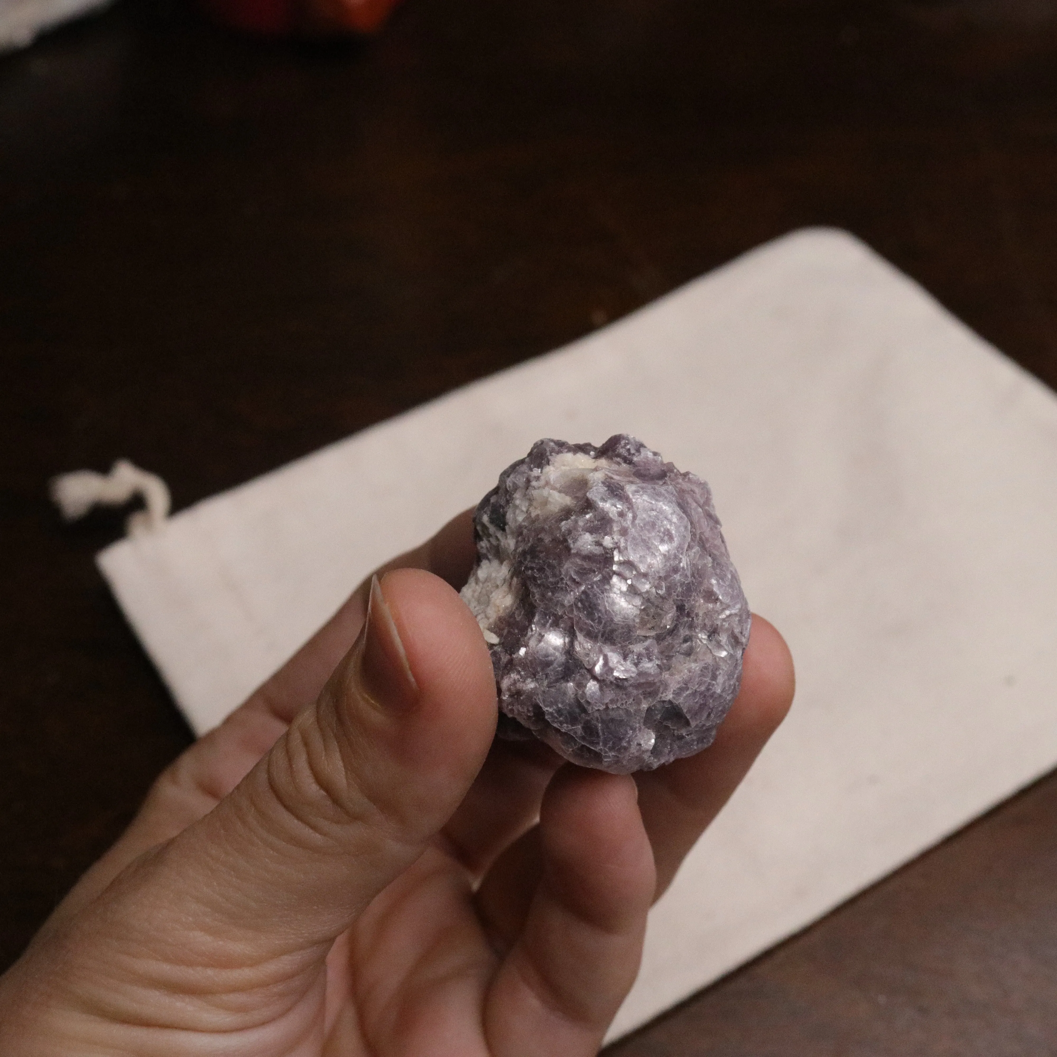 Adorable Coconut Mica Specimen ~ Lepidolite Mica