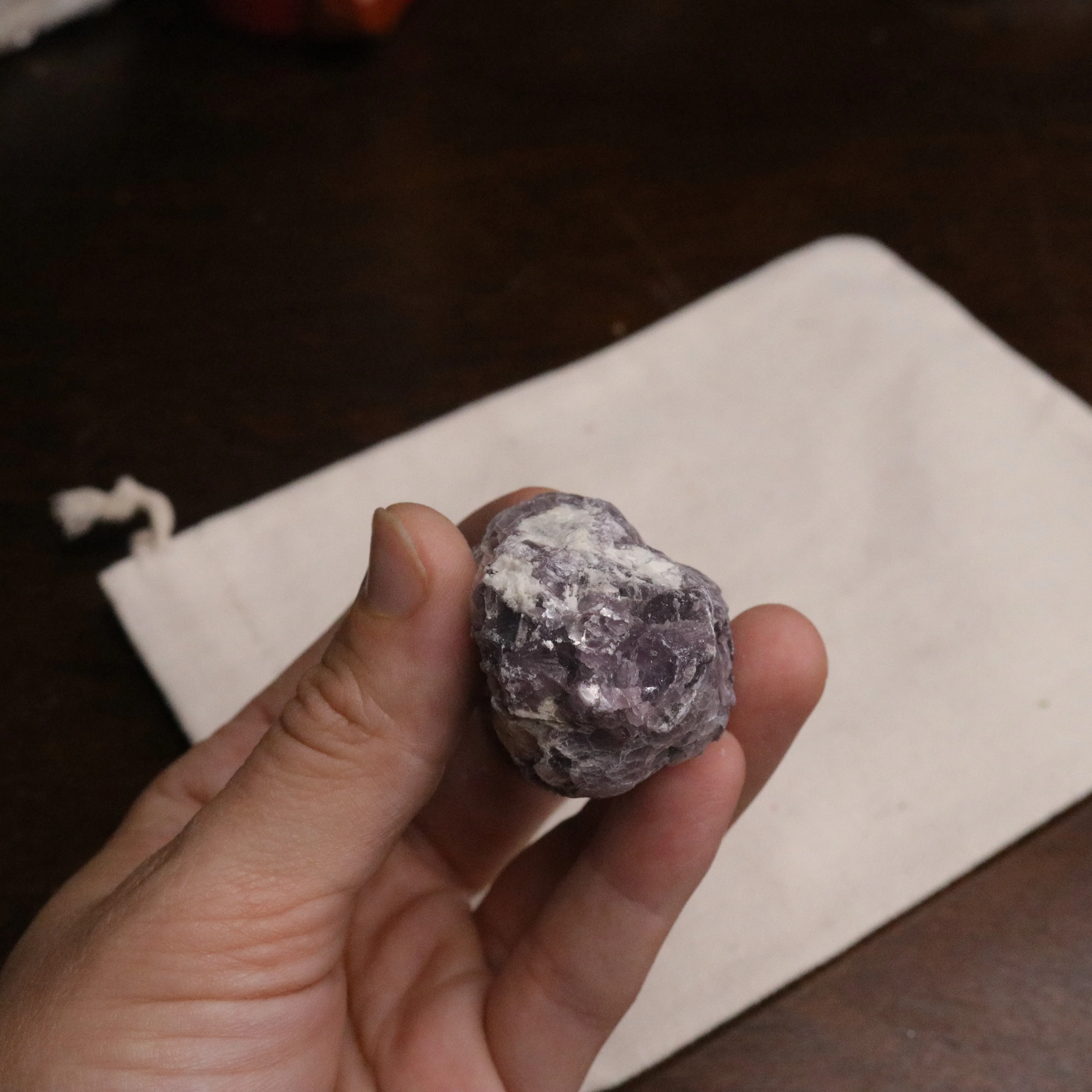 Adorable Coconut Mica Specimen ~ Lepidolite Mica