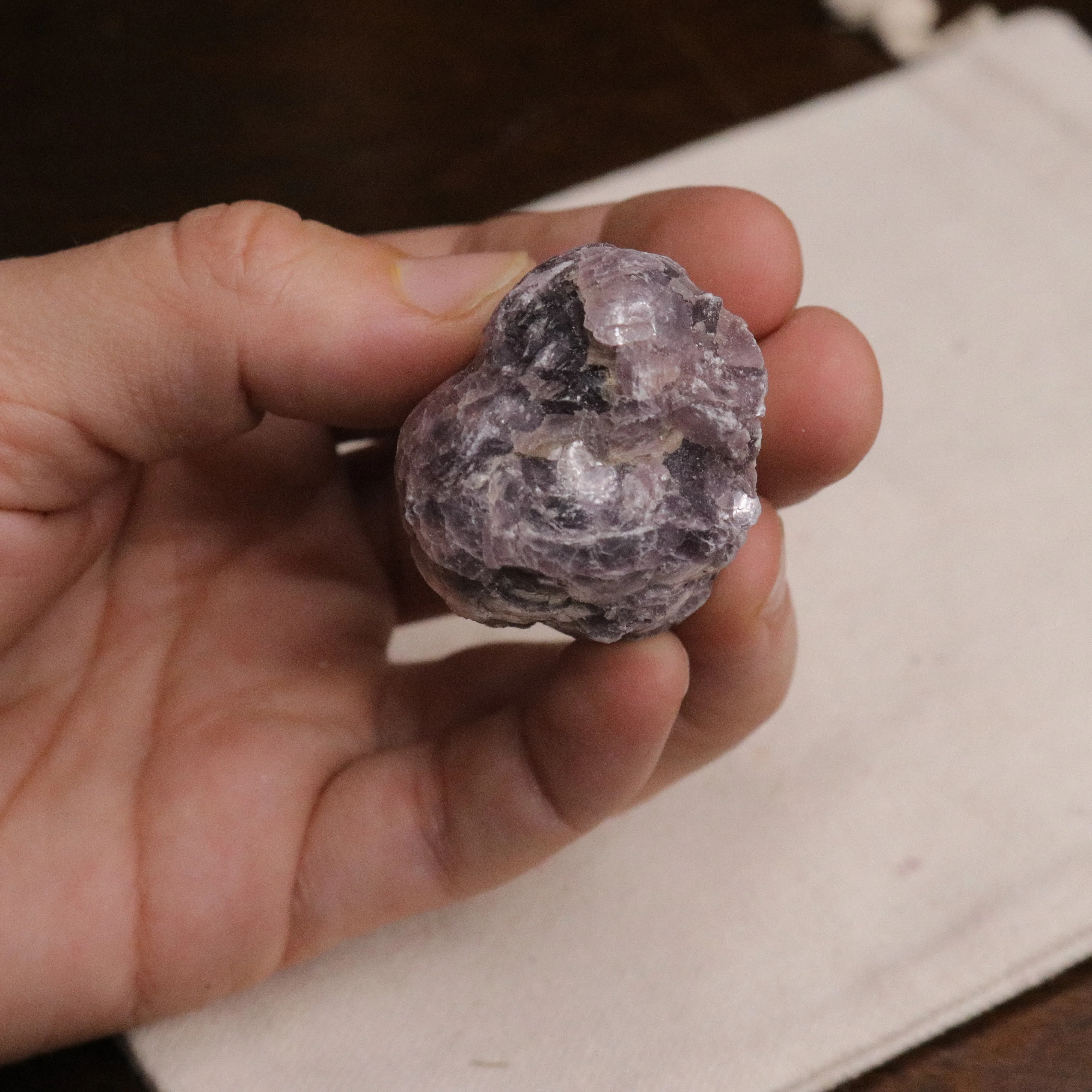 Adorable Coconut Mica Specimen ~ Lepidolite Mica