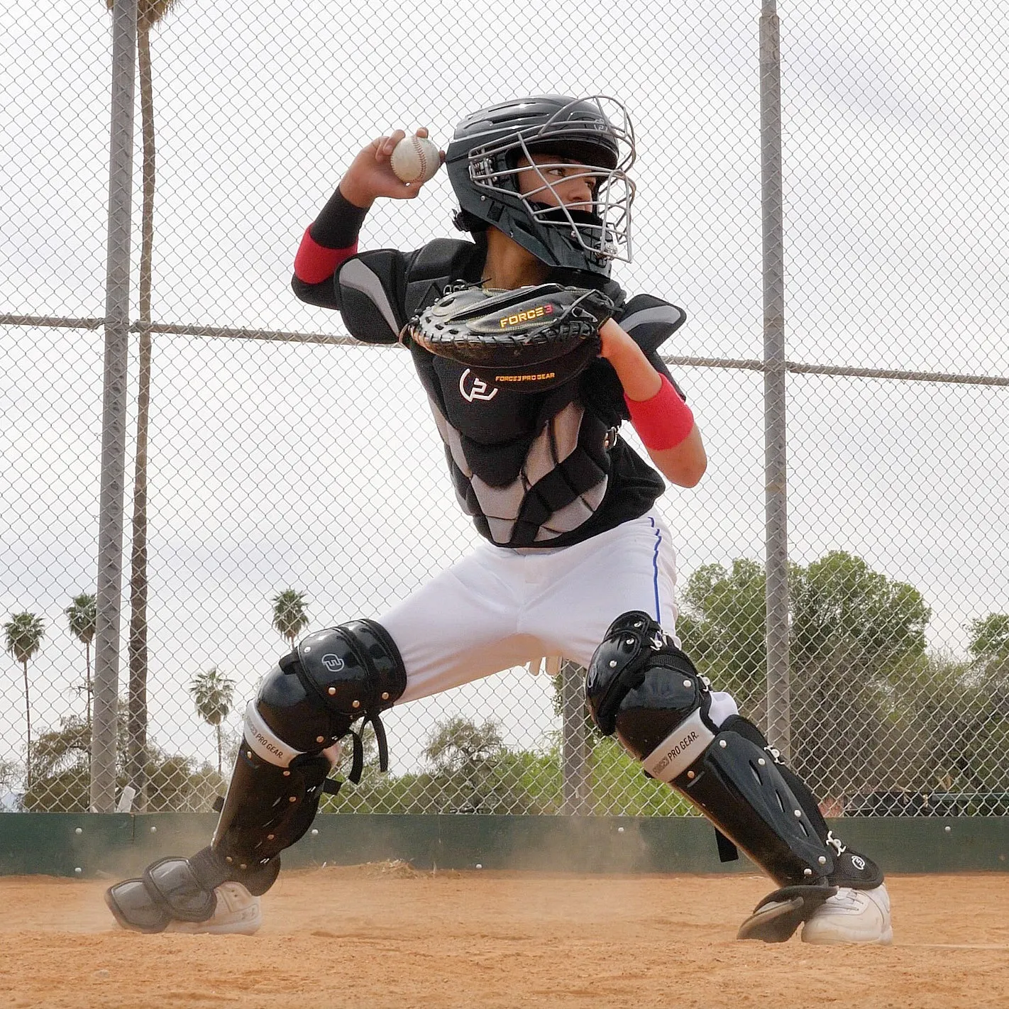 Force3 Hockey Style Defender Catcher's Helmet: BD22